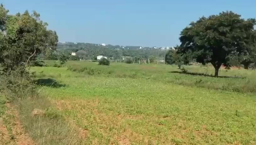 Surrounding landscape view from supplied Benaka Layout video